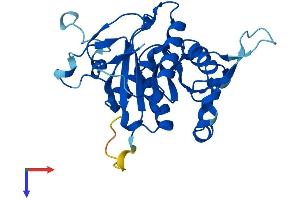 AlphaFold protein structure predicition of Human Recombinant PSMG2 Protein, UniprotID Q969U7