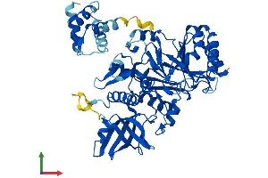 AlphaFold protein structure predicition of Human Recombinant POLE2 Protein, UniprotID P56282