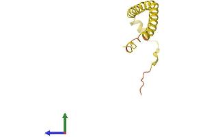 AlphaFold protein structure predicition of Human Recombinant HEPN1 Protein, UniprotID Q6WQI6