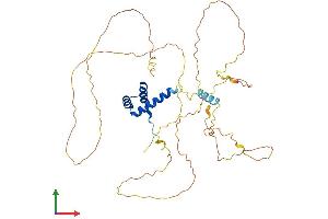 AlphaFold protein structure predicition of Mouse Recombinant Evx1 Protein, UniprotID P23683
