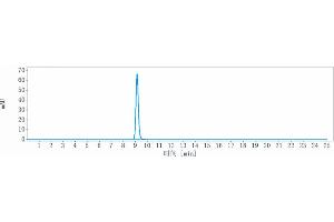 anti-PDCD1 (Finotonlimab Biosimilar) antibody