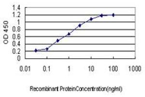Detection limit for recombinant GST tagged LASS6 is approximately 0.