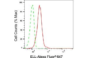 Flow cytometric analysis of ELL expression in C2C12 cells using ELL antibody (ABIN7798432), 1:1,000). (ELL anticorps)