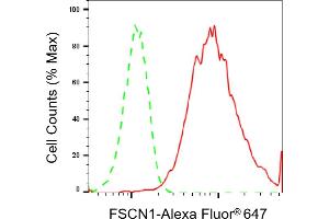 Flow cytometric analysis of FSCN1 expression in HepG2 cells using FSCN1 antibody (ABIN7798578), 1:2,000).