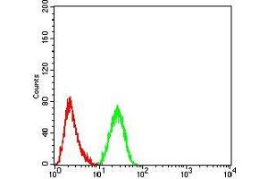 Flow cytometric analysis of Hela cells using KDM1A mouse mAb (green) and negative control (red).