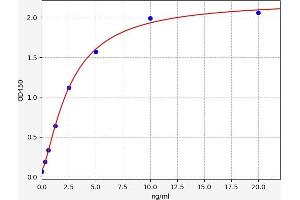 Typical standard curve (Fascin 2 Kit ELISA)