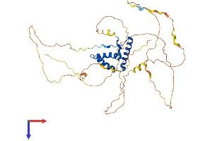 AlphaFold protein structure predicition of Mouse Recombinant Sox17 Protein, UniprotID Q61473