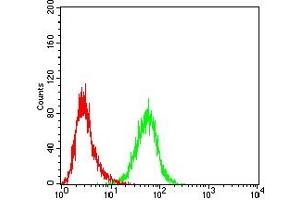 Flow cytometric analysis of HL-60 cells using CD205 mouse mAb (green) and negative control (red).