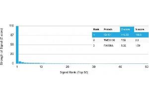 Analysis of Protein Array containing >19,000 full-length human proteins using IgG Recombinant Mouse Monoclonal Antibody (rIG266) Z- and S- Score: The Z-score represents the strength of a signal that a monoclonal antibody (Monoclonal Antibody) (in combination with a fluorescently-tagged anti-IgG secondary antibody) produces when binding to a particular protein on the HuProtTM array. (Recombinant IGHG anticorps)