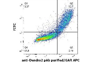 Flow Cytometry (FACS) image for anti-Dendra 2 antibody (ABIN361314)