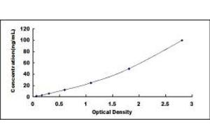 Typical standard curve (OGT Kit ELISA)