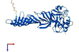 AlphaFold protein structure predicition of Human Recombinant SETD7 Protein, UniprotID Q8WTS6