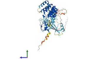AlphaFold protein structure predicition of Mouse Recombinant Noxa1 Protein, UniprotID Q8CJ00
