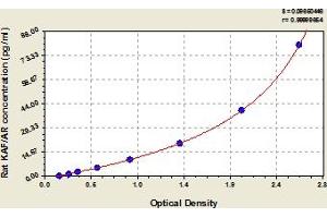 Typical Standard Curve (Amphiregulin Kit ELISA)