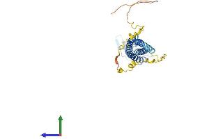 AlphaFold protein structure predicition of Human Recombinant CLDN23 Protein, UniprotID Q96B33