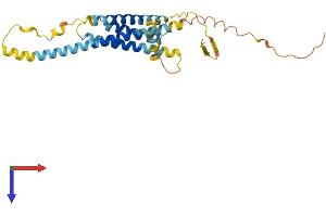 AlphaFold protein structure predicition of Human Recombinant TMEM176B Protein, UniprotID Q3YBM2