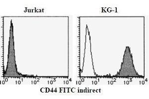 Flow Cytometry (FACS) image for anti-CD44 (CD44) antibody (ABIN1449180) (CD44 anticorps)