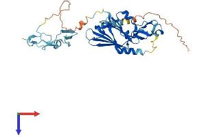 AlphaFold protein structure predicition of Mouse Recombinant Itgb1bp2 Protein, UniprotID Q9R000