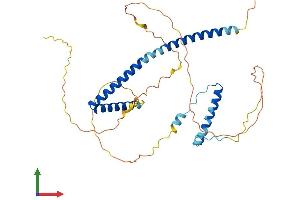 AlphaFold protein structure predicition of Mouse Recombinant Hexim1 Protein, UniprotID Q8R409