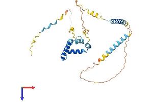 AlphaFold protein structure predicition of Human Recombinant TIPIN Protein, UniprotID Q9BVW5