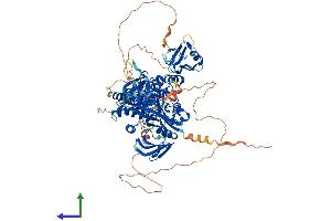 AlphaFold protein structure predicition of Human Recombinant PTPN4 Protein, UniprotID P29074