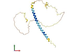 AlphaFold protein structure predicition of Mouse Recombinant Bmf Protein, UniprotID Q91ZE9