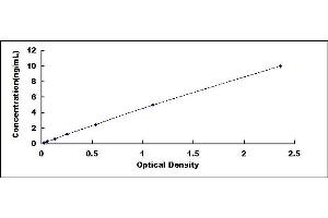 Typical standard curve (PPOX Kit ELISA)