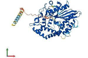 AlphaFold protein structure predicition of Mouse Recombinant Pxylp1 Protein, UniprotID Q8BHA9