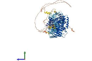 AlphaFold protein structure predicition of Human Recombinant SLC12A6 Protein, UniprotID Q9UHW9
