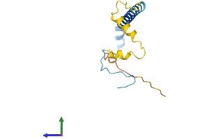 AlphaFold protein structure predicition of Mouse Recombinant Paip2 Protein, UniprotID Q9D6V8