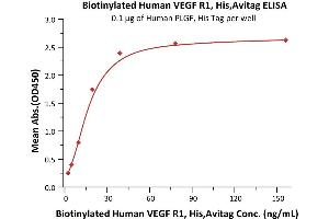 Immobilized Human PLGF, His Tag (ABIN2181648,ABIN2181647) at 1 μg/mL (100 μL/well) can bind Biotinylated Human VEGF R1, His,Avitag (ABIN5955009,ABIN6253629) with a linear range of 2-20 ng/mL (Routinely tested).
