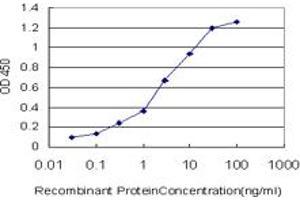Detection limit for recombinant GST tagged IL8 is approximately 0. (IL-8 anticorps  (AA 21-99))