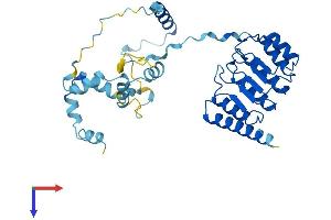 AlphaFold protein structure predicition of Mouse Recombinant Tmod4 Protein, UniprotID Q9JLH8