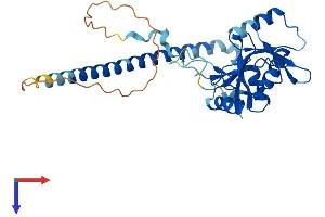 AlphaFold protein structure predicition of Mouse Recombinant Tsen34 Protein, UniprotID Q8BMZ5