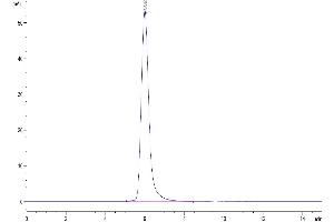 The purity of Human CD24 is greater than 95 % as determined by SEC-HPLC. (CD24 Protein (AA 27-59) (Fc Tag))