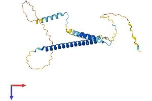 AlphaFold protein structure predicition of Human Recombinant CCDC59 Protein, UniprotID Q9P031