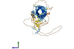 AlphaFold protein structure predicition of Mouse Recombinant Fbxo10 Protein, UniprotID Q7TQF2