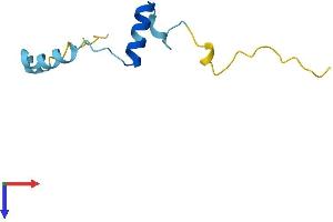 AlphaFold protein structure predicition of Mouse Recombinant Mustn1 Protein, UniprotID Q99JI1