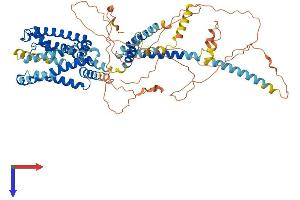AlphaFold protein structure predicition of Mouse Recombinant Kcnq4 Protein, UniprotID Q9JK97
