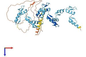 AlphaFold protein structure predicition of Human Recombinant ZNF563 Protein, UniprotID Q8TA94