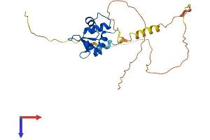 AlphaFold protein structure predicition of Mouse Recombinant Fev Protein, UniprotID Q8QZW2