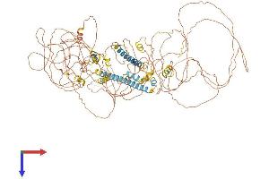Nuclear Receptor Interacting Protein 1 (NRIP1) (AA 1-1161) protein (His tag)