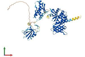 AlphaFold protein structure predicition of Human Recombinant SNX27 Protein, UniprotID Q96L92