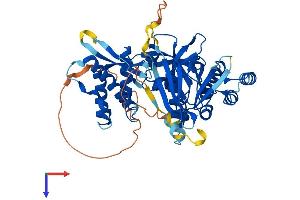 AlphaFold protein structure predicition of Human Recombinant SNX17 Protein, UniprotID Q15036