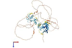 AlphaFold protein structure predicition of Human Recombinant ZBTB44 Protein, UniprotID Q8NCP5