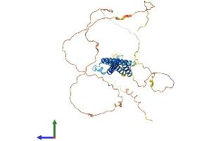 AlphaFold protein structure predicition of Mouse Recombinant Bhlhe41 Protein, UniprotID Q99PV5