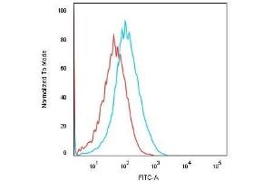 Flow Cytometric Analysis of Human HEK293 cells using KSP-Cadherin Recombinant Mouse Monoclonal Antibody (rCDH16/1071) followed by Goat anti-Mouse IgG-CF488 (Blue); Isotype Control (Red).