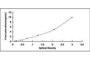 Sialic Acid Binding Ig-Like Lectin 6 (SIGLEC6) ELISA Kit