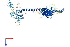 AlphaFold protein structure predicition of Mouse Recombinant Mid1 Protein, UniprotID O70583