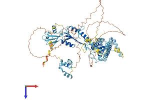 AlphaFold protein structure predicition of Human Recombinant ANKZF1 Protein, UniprotID Q9H8Y5